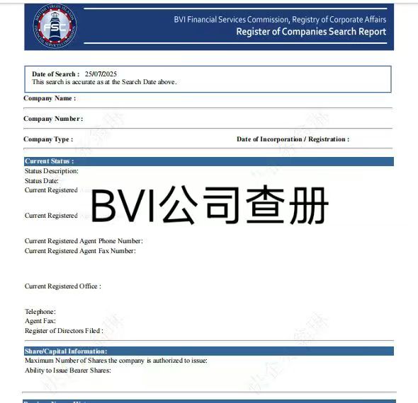 BVI公司线上查册结果