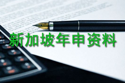 新加坡年申资料